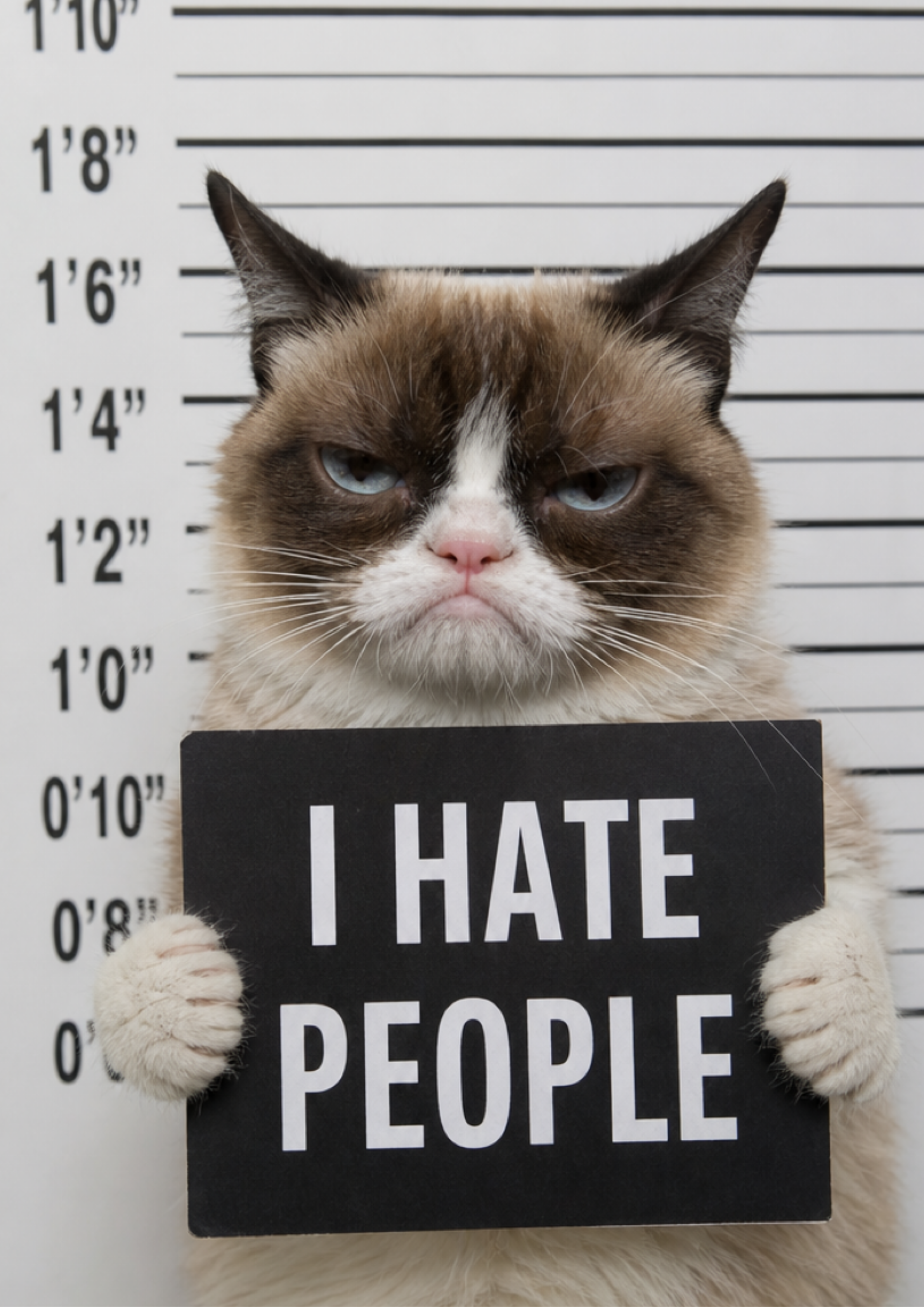 I hate people - Poster Din A2