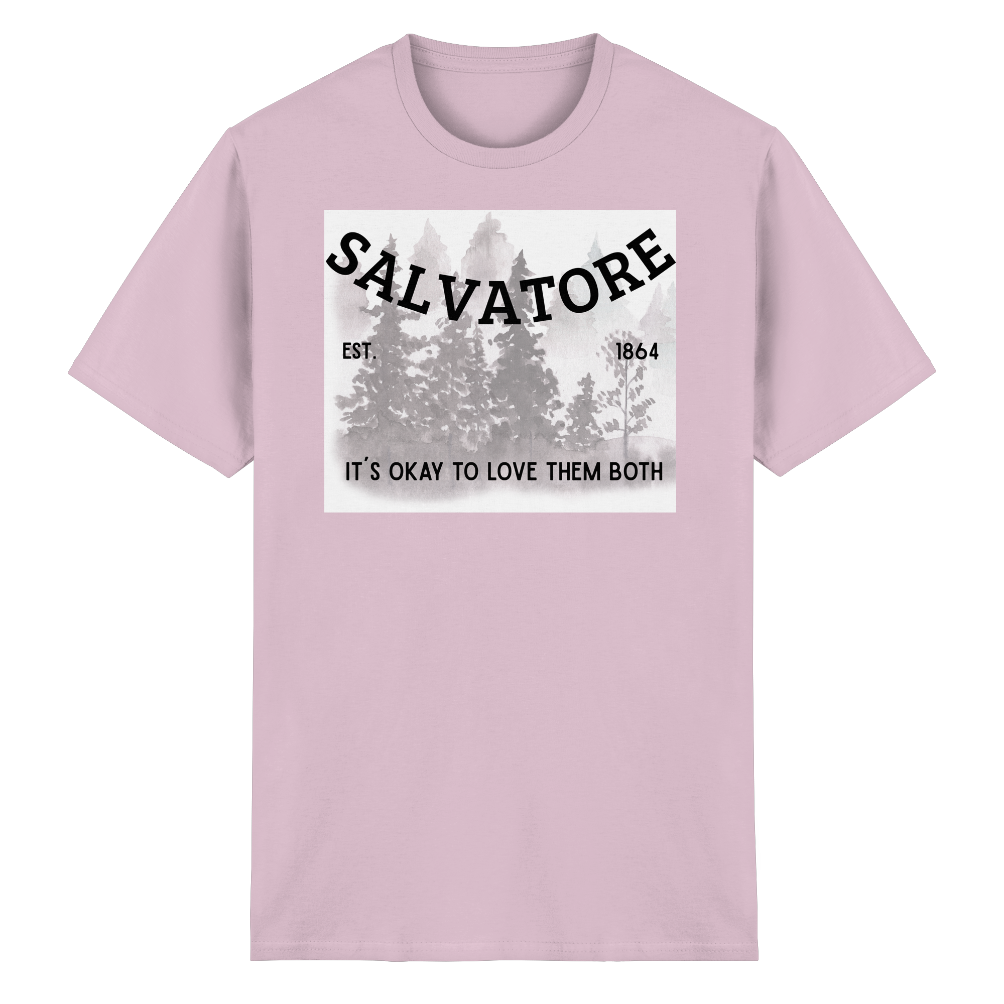 Mystic Falls Dating Problems - Heavy Cotton T-Shirt